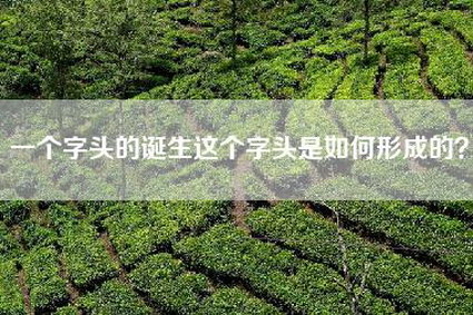 一个字头的诞生这个字头是如何形成的？