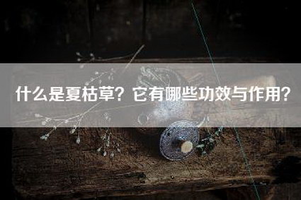 什么是夏枯草？它有哪些功效与作用？