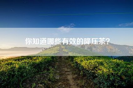 你知道哪些有效的降压茶？