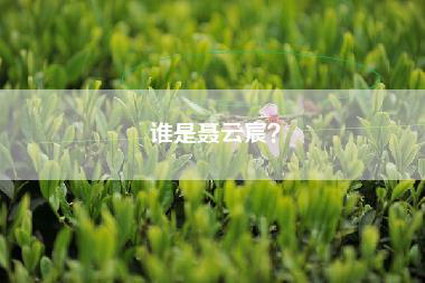 谁是聂云宸？