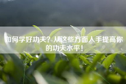 如何学好功夫？从这些方面入手提高你的功夫水平！