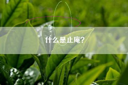 什么是止庵？
