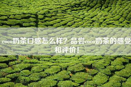 coco奶茶口感怎么样？品尝coco奶茶的感受和评价！