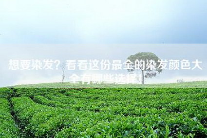 想要染发？看看这份最全的染发颜色大全有哪些选择！