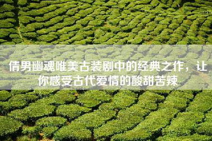 倩男幽魂唯美古装剧中的经典之作，让你感受古代爱情的酸甜苦辣