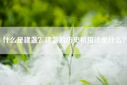 什么是建盏？建盏的历史和用途是什么？