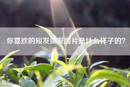 你喜欢的短发烫发图片是什么样子的？