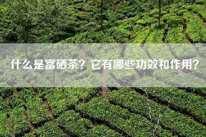 什么是富硒茶？它有哪些功效和作用？