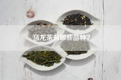 乌龙茶有哪些品种？