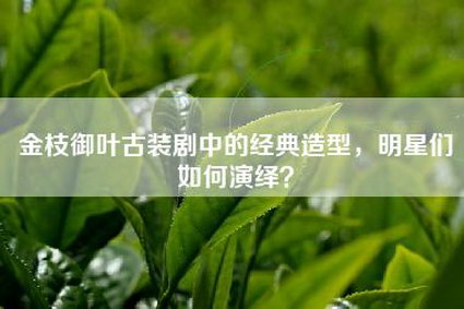 金枝御叶古装剧中的经典造型，明星们如何演绎？