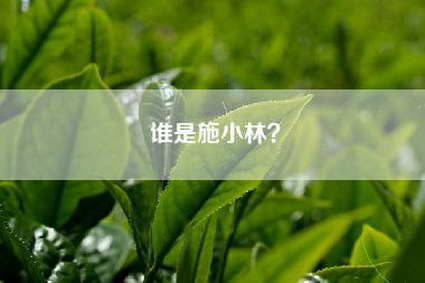 谁是施小林？