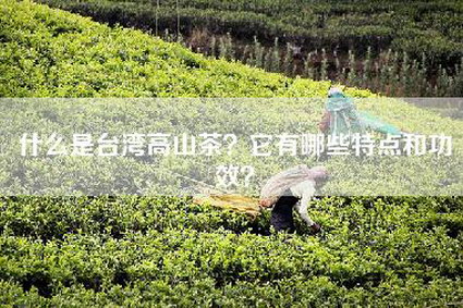 什么是台湾高山茶？它有哪些特点和功效？
