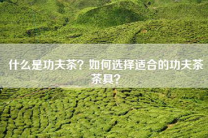 什么是功夫茶？如何选择适合的功夫茶茶具？