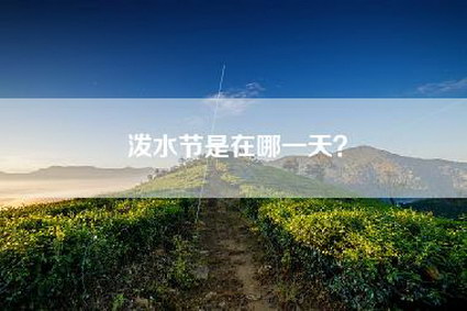 泼水节是在哪一天？