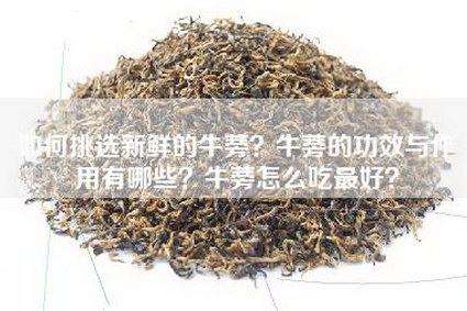 如何挑选新鲜的牛蒡？牛蒡的功效与作用有哪些？牛蒡怎么吃最好？