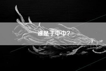 谁是于中中？