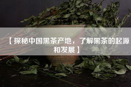 【探秘中国黑茶产地，了解黑茶的起源和发展】