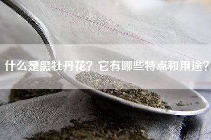 什么是黑牡丹花？它有哪些特点和用途？