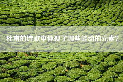 杜甫的诗歌中体现了哪些能动的元素？
