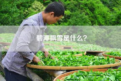 碧潭飘雪是什么？