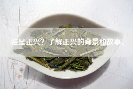 谁是正兴？了解正兴的背景和故事。
