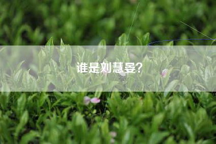 谁是刘慧晏？