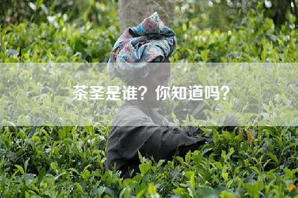 茶圣是谁？你知道吗？