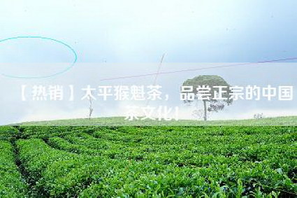 【热销】太平猴魁茶，品尝正宗的中国茶文化！