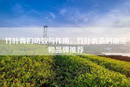 竹叶青的功效与作用，竹叶青茶的泡法和品牌推荐