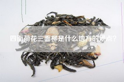 四面荷花三面柳是什么地方的景点？