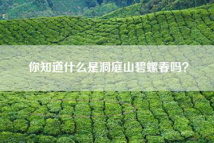 你知道什么是洞庭山碧螺春吗？