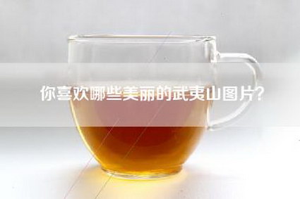 你喜欢哪些美丽的武夷山图片？