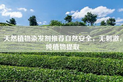 天然植物染发剂推荐自然安全，无刺激，纯植物提取