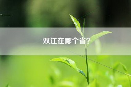 双江在哪个省？