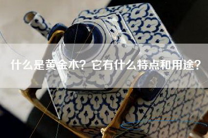什么是黄金木？它有什么特点和用途？