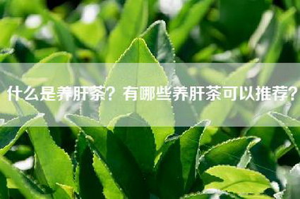什么是养肝茶？有哪些养肝茶可以推荐？