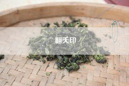 翻天印