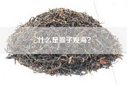 什么是猴子观海？