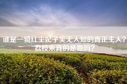 谁是一骑红尘妃子笑无人知的真正主人？荔枝来真的是她吗？