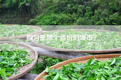 都匀是哪个省份的城市？