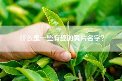 什么是一些有趣的黄片名字？