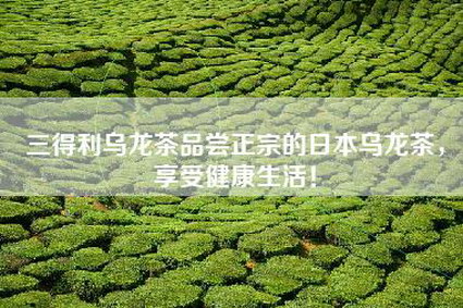 三得利乌龙茶品尝正宗的日本乌龙茶，享受健康生活！