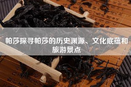 帕莎探寻帕莎的历史渊源、文化底蕴和旅游景点