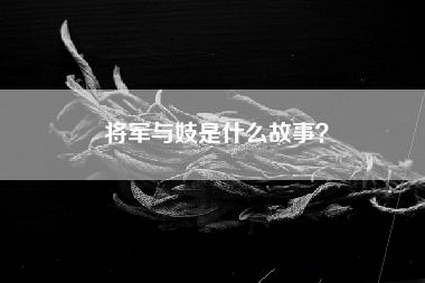 将军与妓是什么故事？