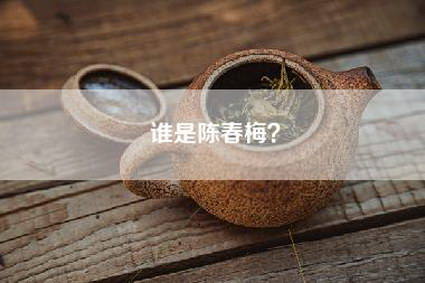 谁是陈春梅？