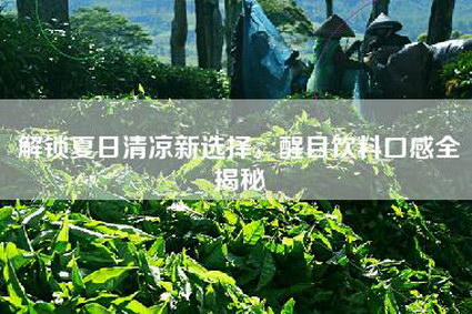 解锁夏日清凉新选择，醒目饮料口感全揭秘