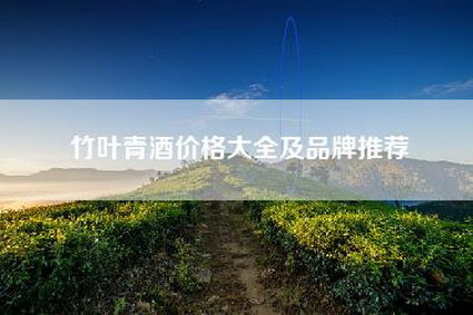 竹叶青酒价格大全及品牌推荐