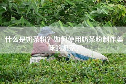 什么是奶茶粉？如何使用奶茶粉制作美味的奶茶？
