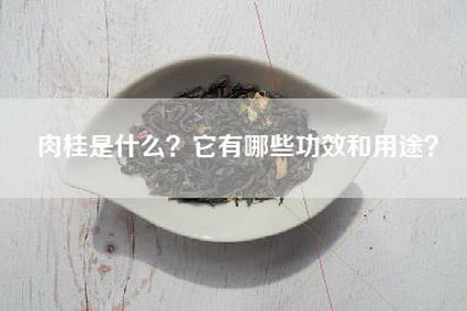 肉桂是什么？它有哪些功效和用途？