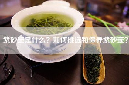 紫砂壶是什么？如何挑选和保养紫砂壶？